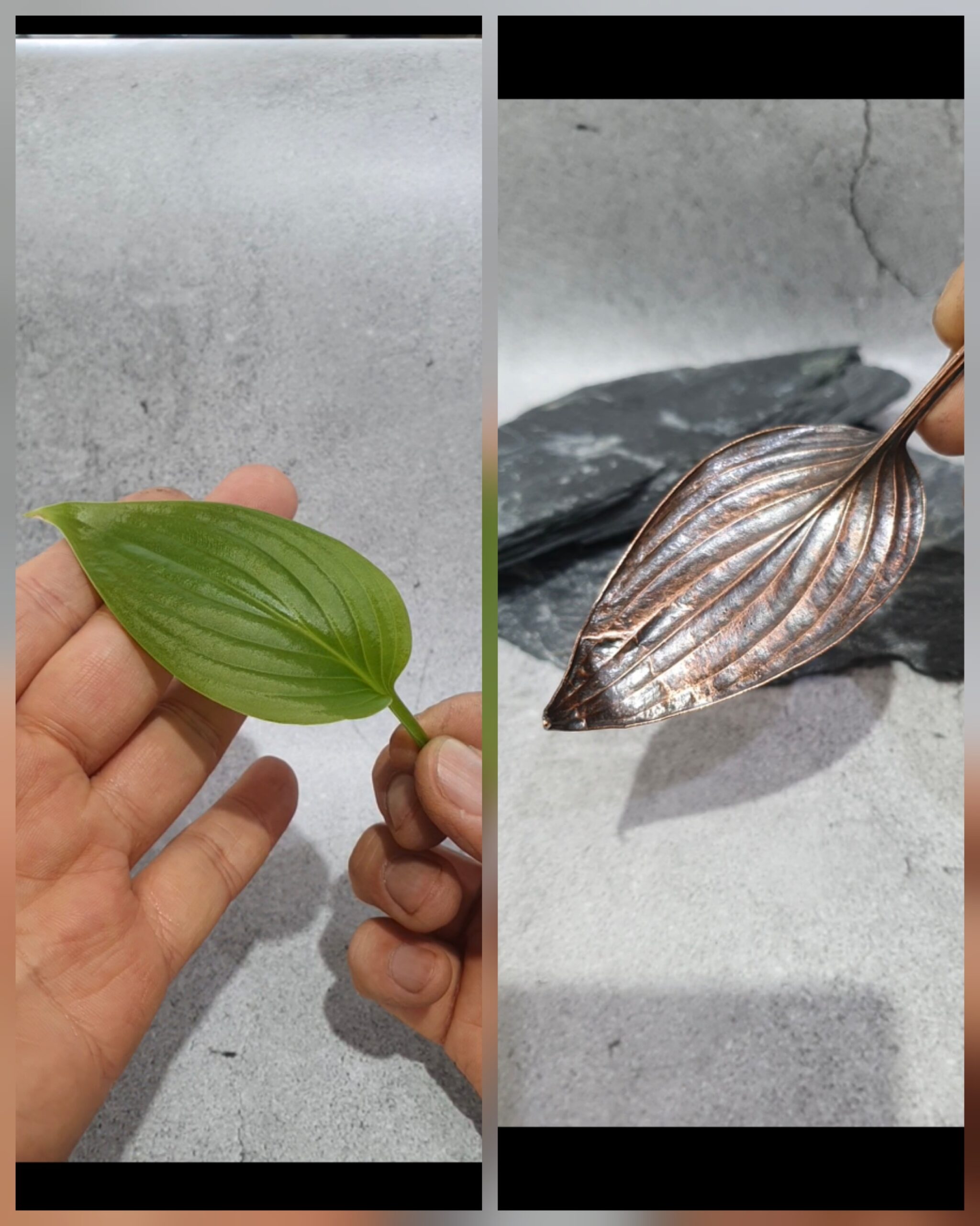 Botanical Objects